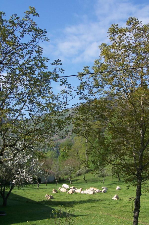 Holiday home Du Lourdes